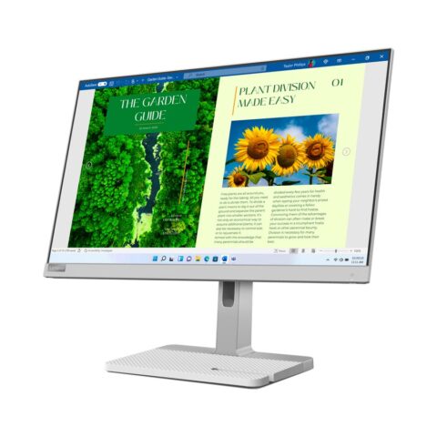 مانیتور 24 اینچ لنوو Lenovo Monitor L24m-40 - نمای روبرو راست